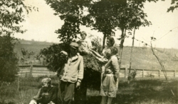 colburn bacons farm