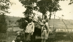 Walloon046
