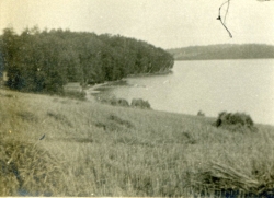 Walloon060