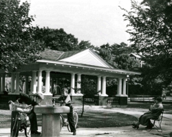Wellness park