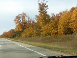 2015-10-19 15.32.37