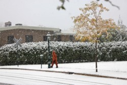 IMG_9586A