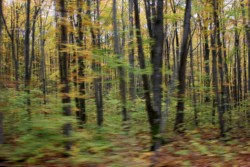 IMG_9739