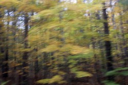IMG_9741