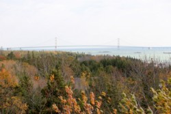 IMG_9744