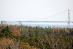 IMG_9747