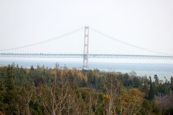 IMG_9748