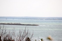 IMG_9754